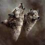 wolf-song.jpg